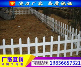供应临泉县绿化护栏厂家 界首PVC塑钢围栏价格直销高清大图